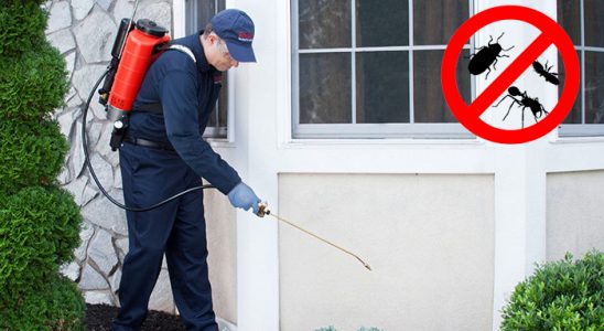 Tuzlukçu Böcek ve Haşere İlaçlama böcek ilaçlama ve haşere kontrolü — ilaclama-tr.com